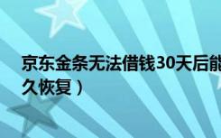 京东金条无法借钱30天后能用吗（京东金条不能借钱了,多久恢复）