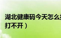 湖北健康码今天怎么打不开（今天健康码怎么打不开）