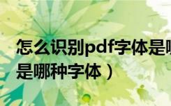 怎么识别pdf字体是哪种字体（怎么识别字体是哪种字体）