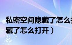 私密空间隐藏了怎么打开浏览器（私密空间隐藏了怎么打开）