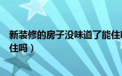 新装修的房子没味道了能住吗（新装修的房子没有味道可以住吗）