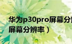 华为p30pro屏幕分辨率设置（华为p30pro屏幕分辨率）