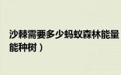 沙棘需要多少蚂蚁森林能量（沙棘蚂蚁森林需要多少能量才能种树）