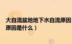 大自流盆地地下水自流原因（大自流盆地地下水资源丰富的原因是什么）