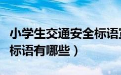 小学生交通安全标语宣传语（儿童交通安全小标语有哪些）