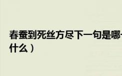 春蚕到死丝方尽下一句是哪一句（春蚕到死丝方尽下一句是什么）