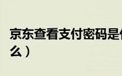 京东查看支付密码是什么（京东支付密码是什么）