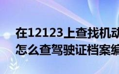 在12123上查找机动车驾驶证编号（12123怎么查驾驶证档案编号）