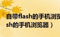 自带flash的手机浏览器玩洛克王国（自带flash的手机浏览器）