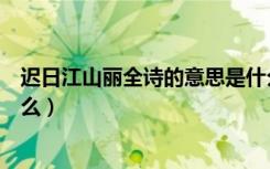 迟日江山丽全诗的意思是什么（迟日江山丽全诗的意思是什么）