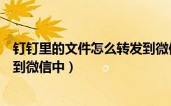 钉钉里的文件怎么转发到微信上去（钉钉中的文件怎样转发到微信中）