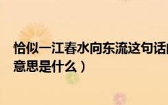 恰似一江春水向东流这句话的意思（恰似一江春水向东流的意思是什么）