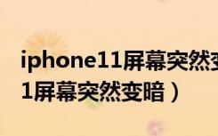 iphone11屏幕突然变暗怎么解决（iphone11屏幕突然变暗）