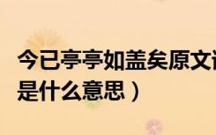 今已亭亭如盖矣原文谁写的（今已亭亭如盖矣是什么意思）