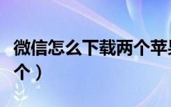 微信怎么下载两个苹果版本（微信怎么下载两个）