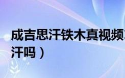 成吉思汗铁木真视频132段（铁木真是成吉思汗吗）