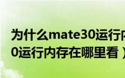 为什么mate30运行内存这么少（华为mate30运行内存在哪里看）