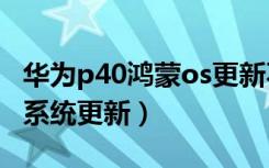 华为p40鸿蒙os更新不了（华为p40怎么关闭系统更新）