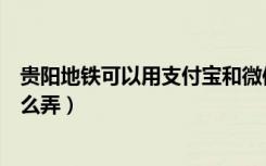 贵阳地铁可以用支付宝和微信吗（贵阳地铁乘车码支付宝怎么弄）