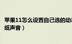 苹果11怎么设置自己选的动态壁纸（苹果11怎么设置动态壁纸声音）