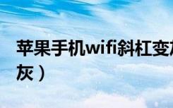 苹果手机wifi斜杠变灰（苹果手机wifi斜杠变灰）