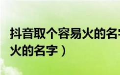 抖音取个容易火的名字三个字（抖音取个容易火的名字）