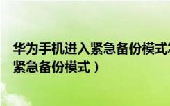 华为手机进入紧急备份模式怎么关（华为手机状态异常进入紧急备份模式）