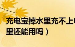 充电宝掉水里充不上电了怎么办（充电宝掉水里还能用吗）