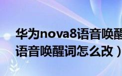 华为nova8语音唤醒怎么设置（华为nova6语音唤醒词怎么改）