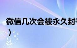 微信几次会被永久封号（微信几次被永久封号）