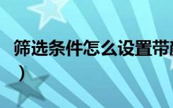 筛选条件怎么设置带颜色（筛选条件怎么设置）