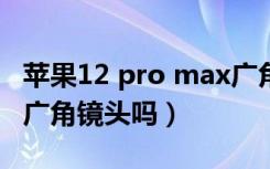 苹果12 pro max广角镜头怎么用（苹果12有广角镜头吗）