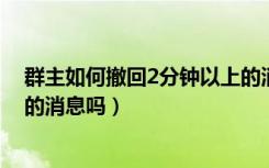 群主如何撤回2分钟以上的消息（群主可以撤回超过两分钟的消息吗）