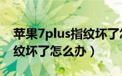 苹果7plus指纹坏了怎么返回（苹果7plus指纹坏了怎么办）