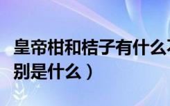 皇帝柑和桔子有什么不同（黄帝柑和橙子的区别是什么）