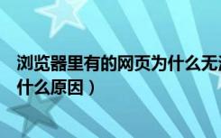 浏览器里有的网页为什么无法打开（浏览器无法打开网页是什么原因）