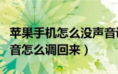 苹果手机怎么没声音调不出来（苹果手机没声音怎么调回来）