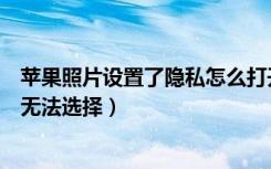 苹果照片设置了隐私怎么打开（苹果手机隐私设置照片选项无法选择）