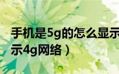 手机是5g的怎么显示4g网络（5g手机怎么显示4g网络）