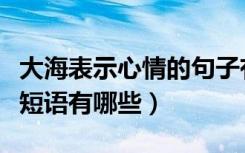 大海表示心情的句子有哪些（大海的句子心情短语有哪些）