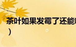 茶叶如果发霉了还能喝吗（茶叶发霉还能喝吗）