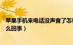 苹果手机来电话没声音了怎样办（苹果手机来电话没声音怎么回事）