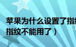 苹果为什么设置了指纹不能用指纹（苹果商店指纹不能用了）