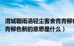 渭城朝雨浥轻尘客舍青青柳色新图（渭城朝雨浥轻尘 客舍青青柳色新的意思是什么）