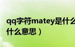 qq字符matey是什么意思（qq字符matey是什么意思）