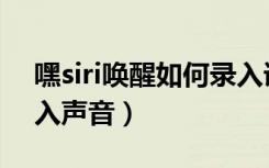 嘿siri唤醒如何录入语音（嘿siri唤醒无法录入声音）