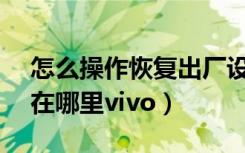 怎么操作恢复出厂设置vivo（恢复出厂设置在哪里vivo）