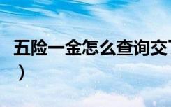 五险一金怎么查询交了多少（五险一金怎么查）