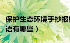 保护生态环境手抄报标语（保护生态环境的标语有哪些）