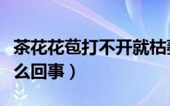 茶花花苞打不开就枯萎（茶花花苞打不开是怎么回事）